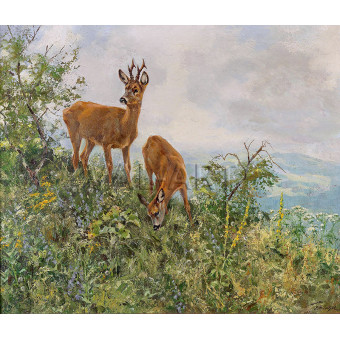 РЕПРОДУКЦИИ НА КАРТИНИ Сръндак на летен планински склон (1942)